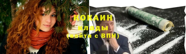 дживик Арсеньев