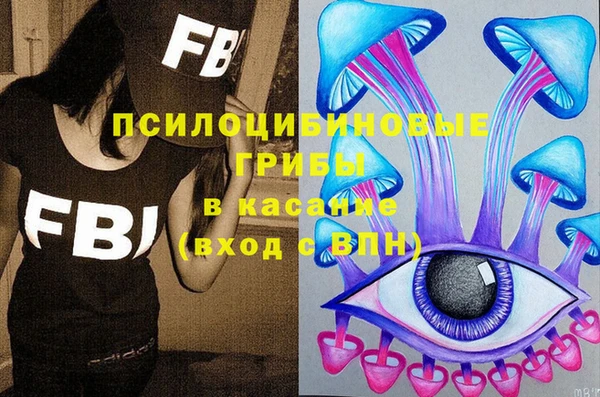 дживик Арсеньев