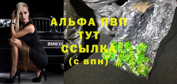 дживик Арсеньев
